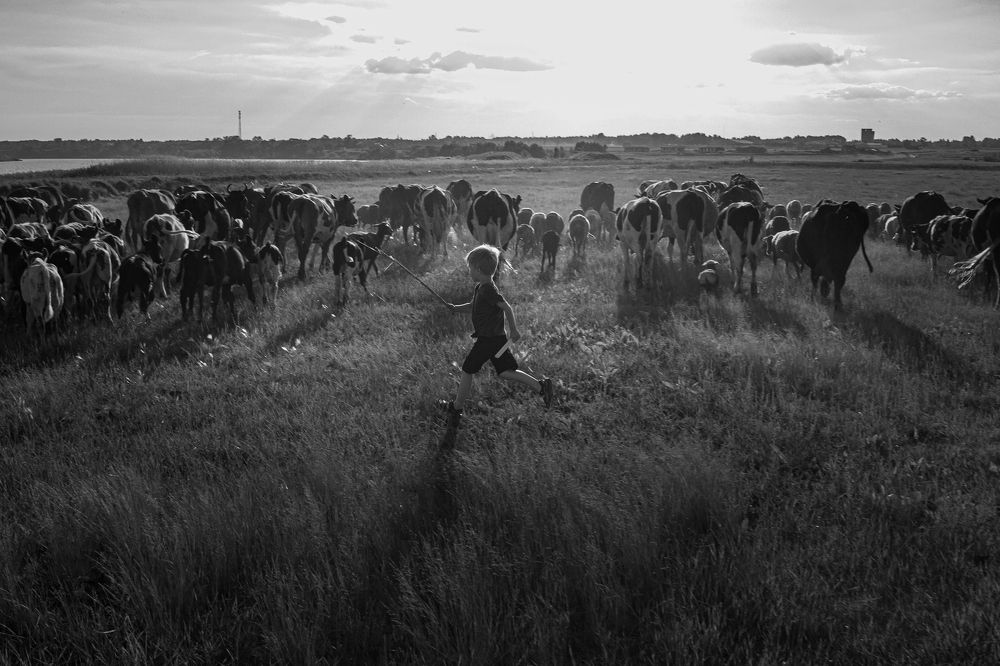 Photograph by Vlad Cher