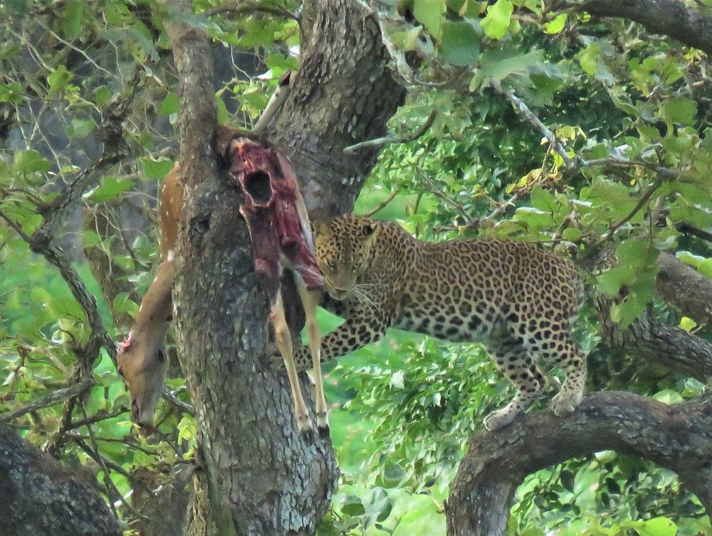 Photograph by ANISH BISWAS