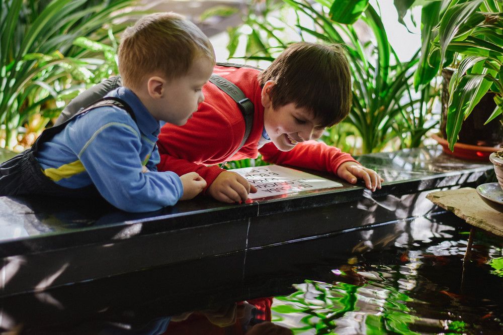 Photograph by Ксения Евгеньевна Коржнева