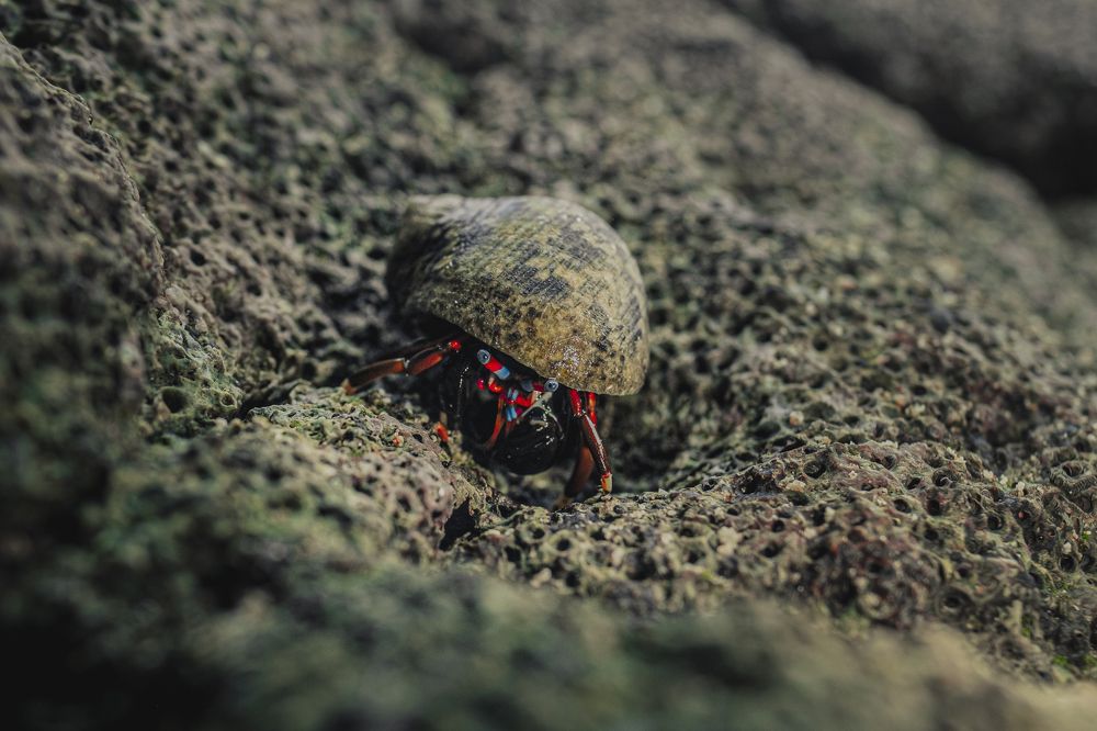 Photograph by Mikhail Matizhenko