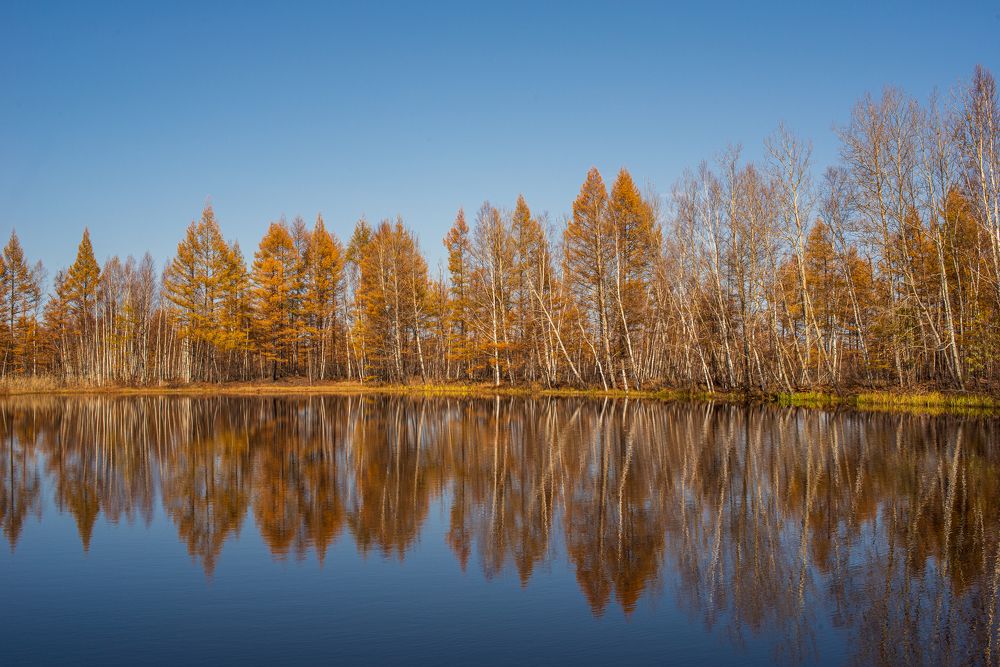 Photograph by Роман Смолко