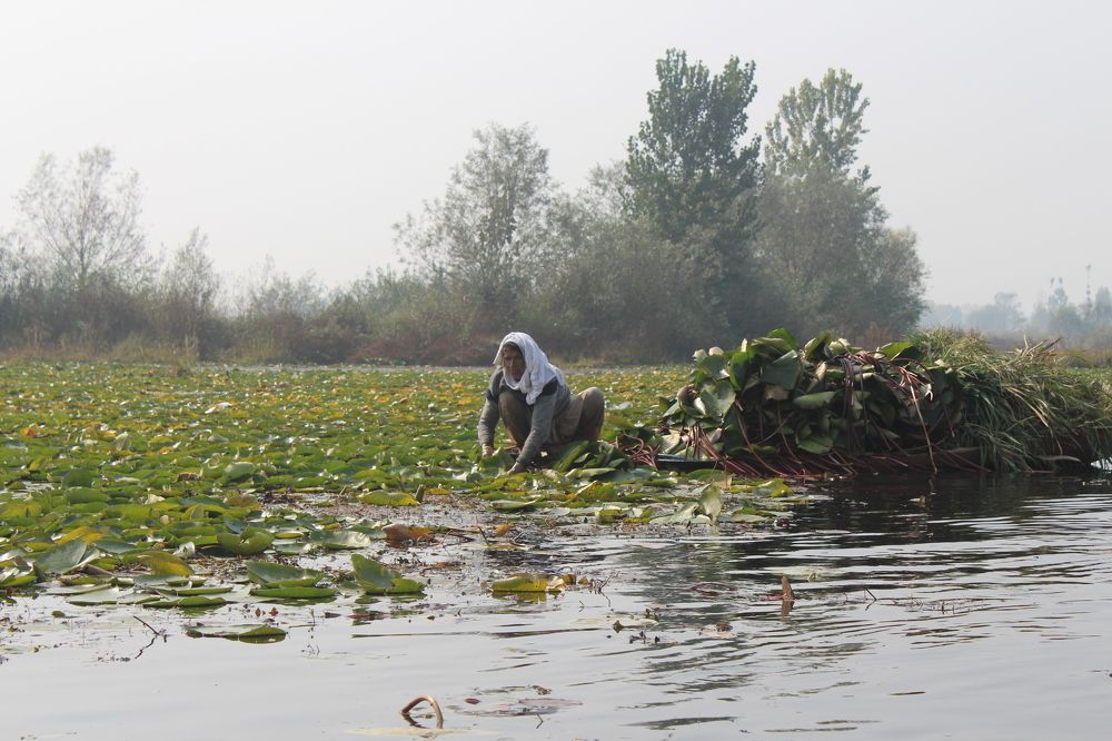 Photograph by chandrahas kurane