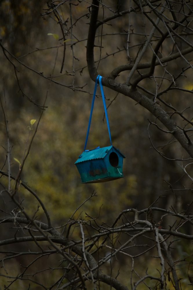 Photograph by Светлана Игнатьева