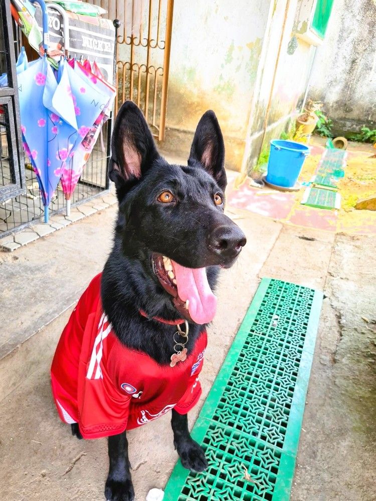 Photograph by EVELYN SIEW YEN CHAN