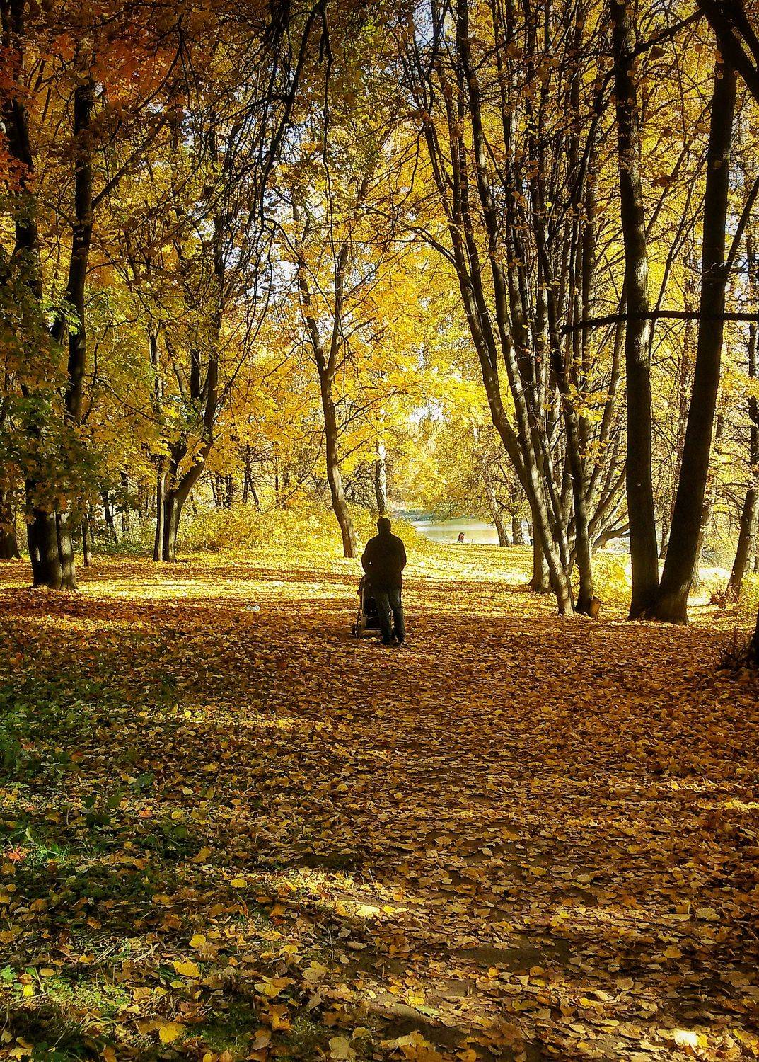 Photo #8305518