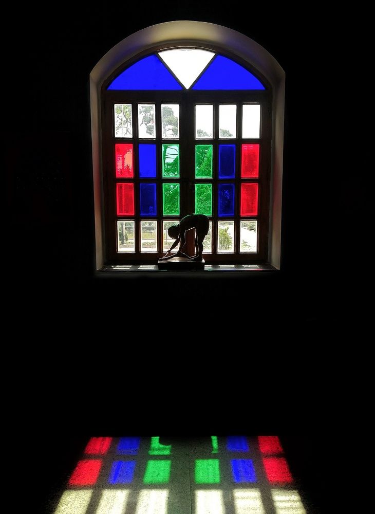 Фотография автора Zahra Seyedmorti