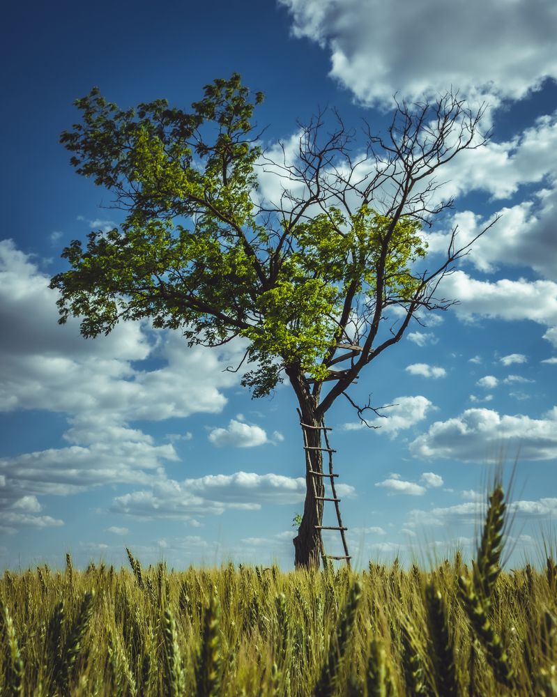 Photograph by Vladislav Tot