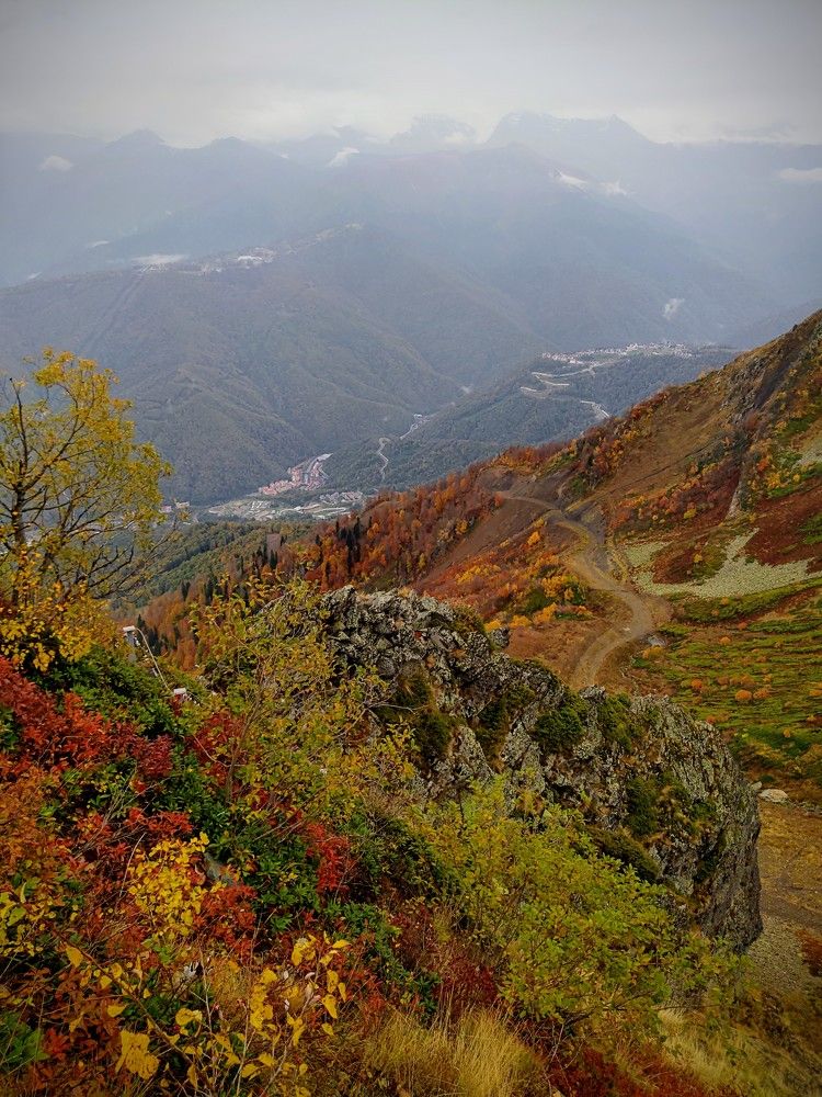 Фотография автора Георгий Петров