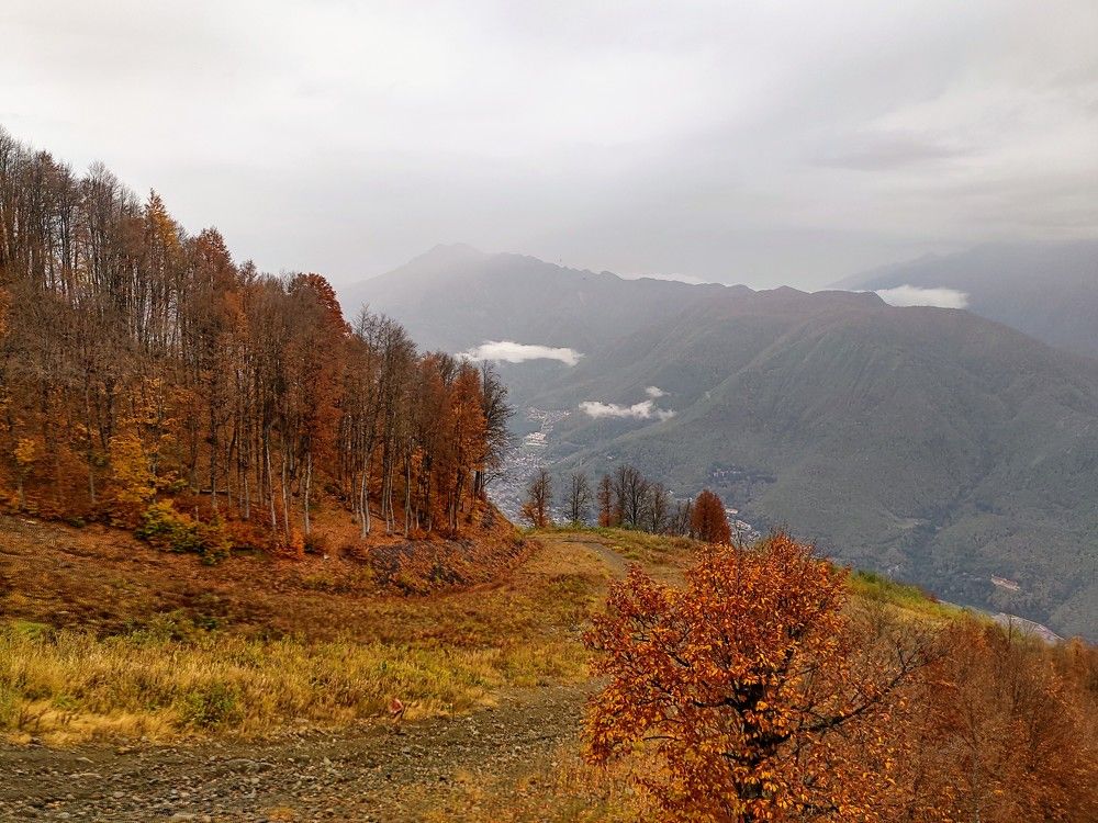 Фотография автора Георгий Петров
