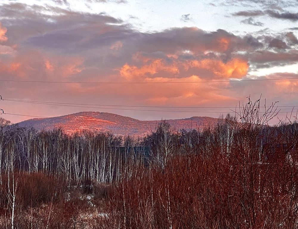 Photograph by Елена Мизина