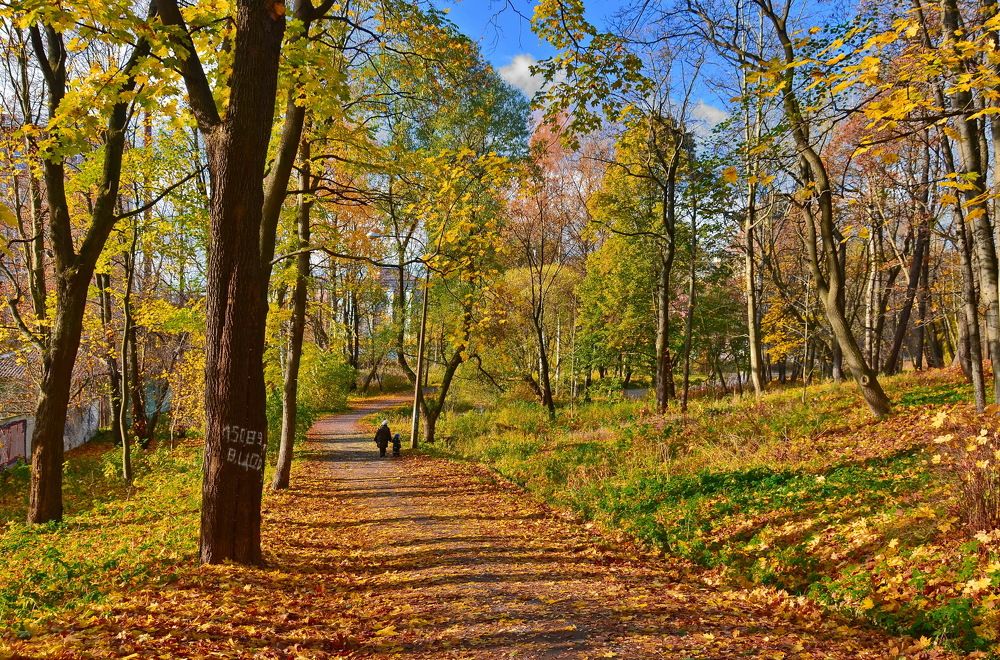 Photograph by Лидия Ушакова