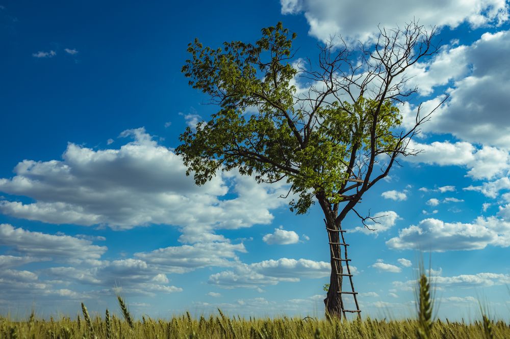 Photograph by Vladislav Tot