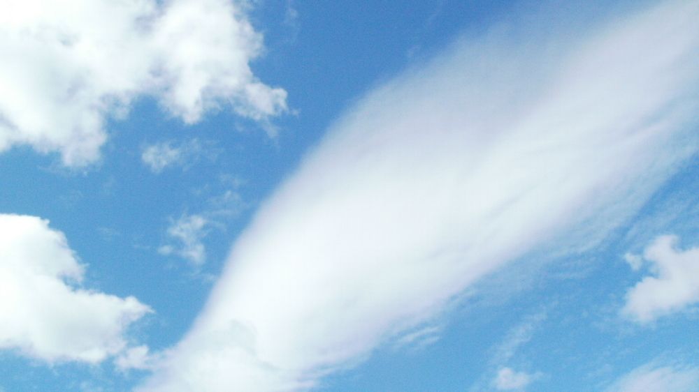 Photograph by Irina Mihailovskaya