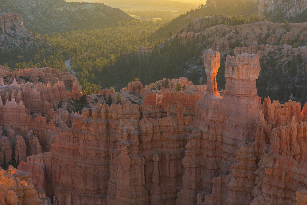 Photograph by Razvan Iliescu