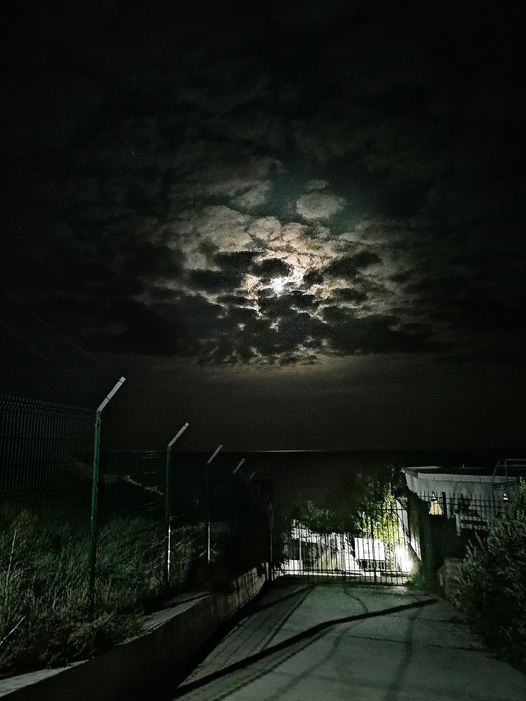 Photograph by Наталья Веряскина