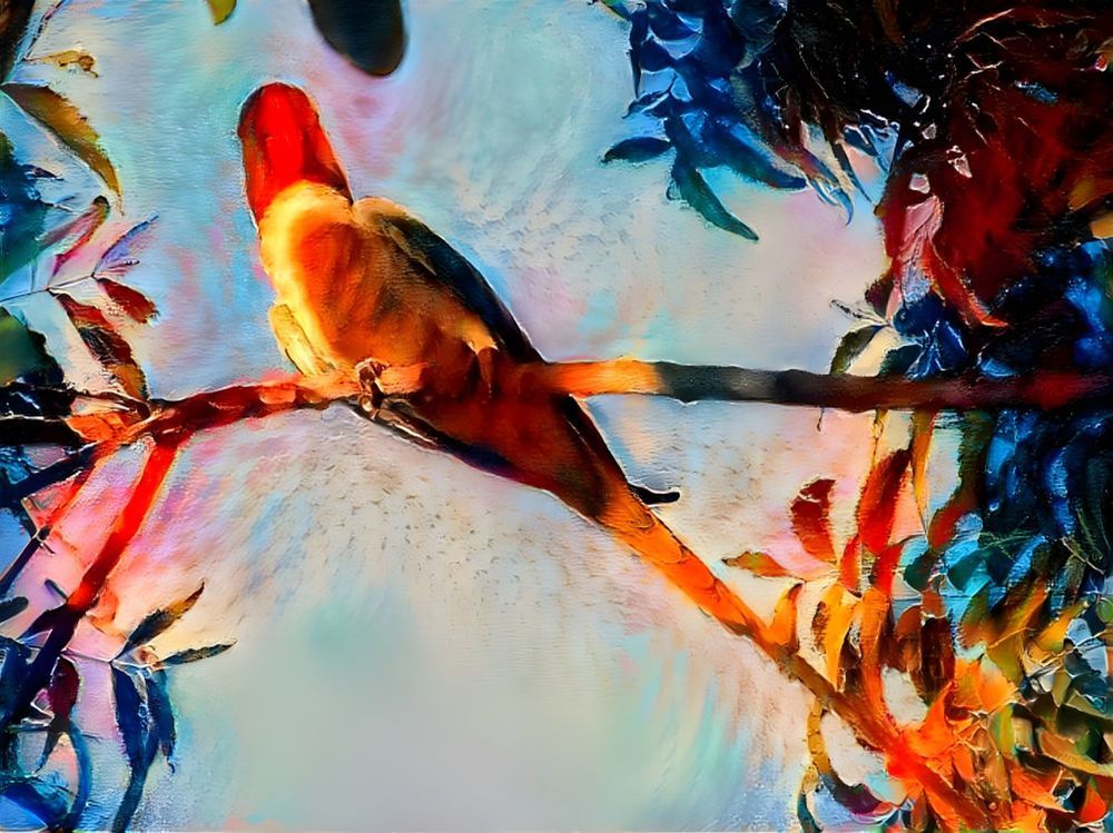 Photograph by Sougata Bhar