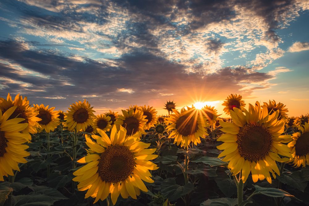 Photograph by Vladislav Tot