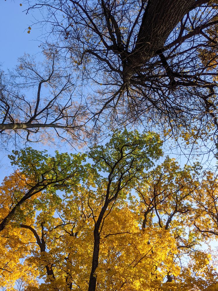 Photograph by Екатерина Абрамова