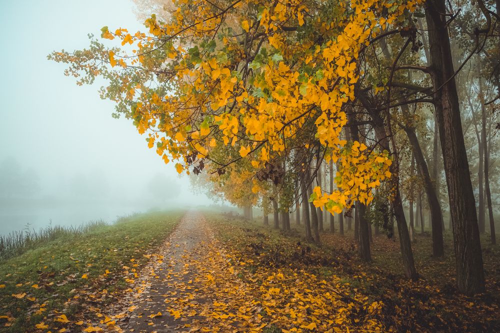 Photograph by Vladislav Tot