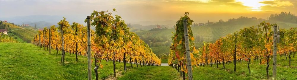 Photograph by Joachim Schnedlitz