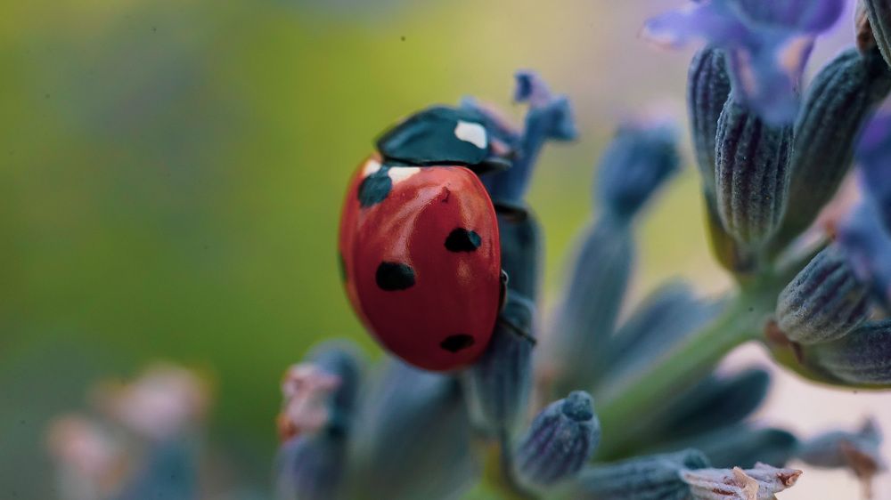 Photograph by jayson gabutan