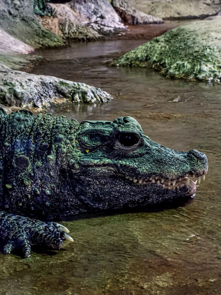 Photograph by Влад Апанасов