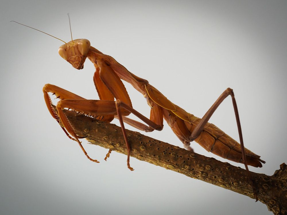 Photograph by Tomasz Starzyk