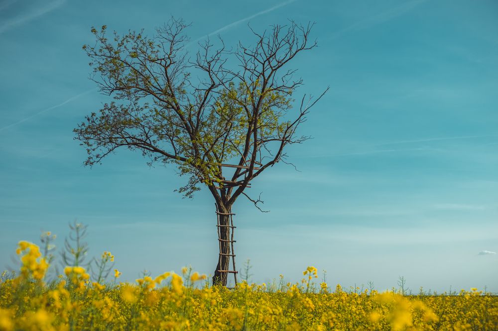 Photograph by Vladislav Tot