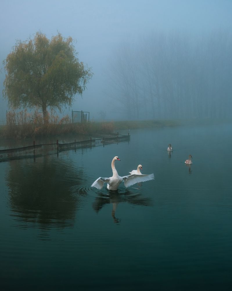 Photograph by Vladislav Tot