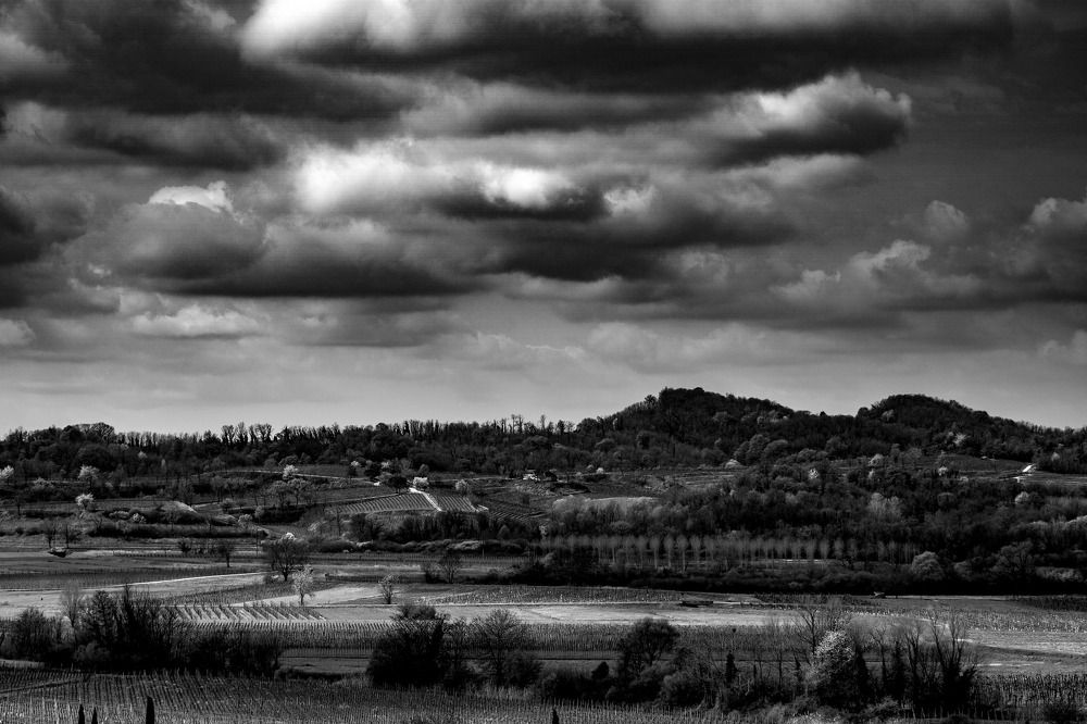 Photograph by brut carniollus