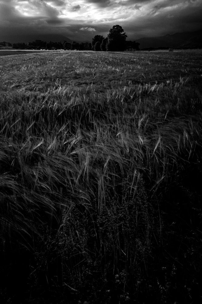 Photograph by brut carniollus