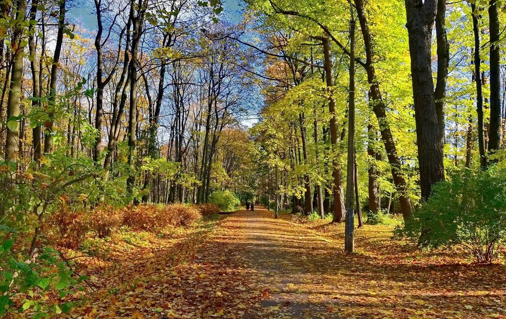 Photograph by Лидия Ушакова