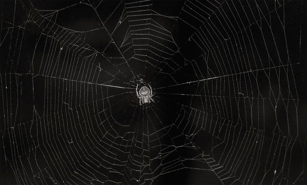 Photograph by Janitha Situbandara