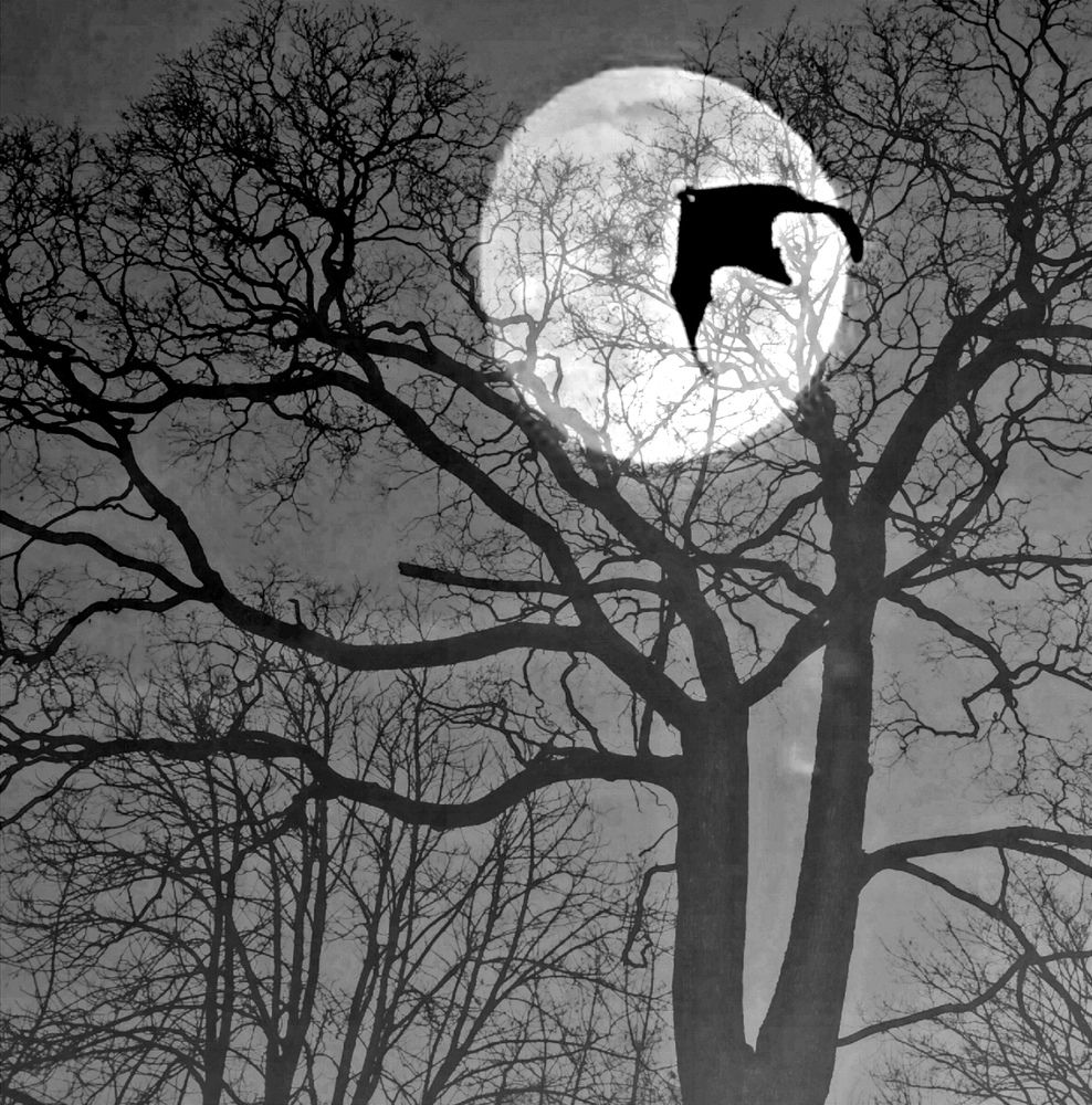 Photograph by Наталия Питолина