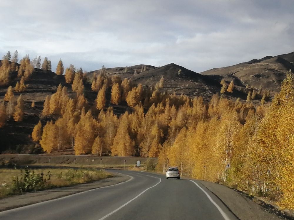 Photograph by Сергей Панков