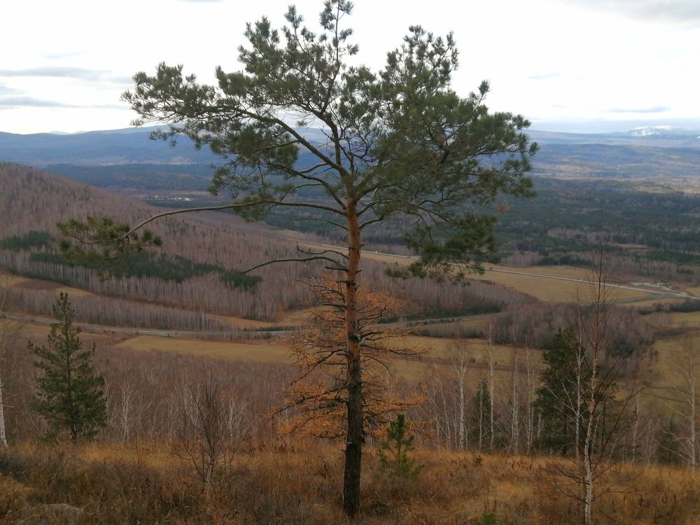 Photograph by Сергей Панков