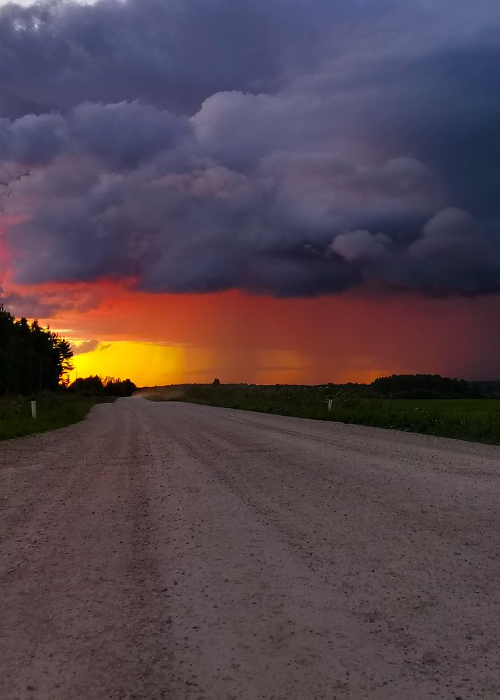 Фотография автора Татьяна Борисова