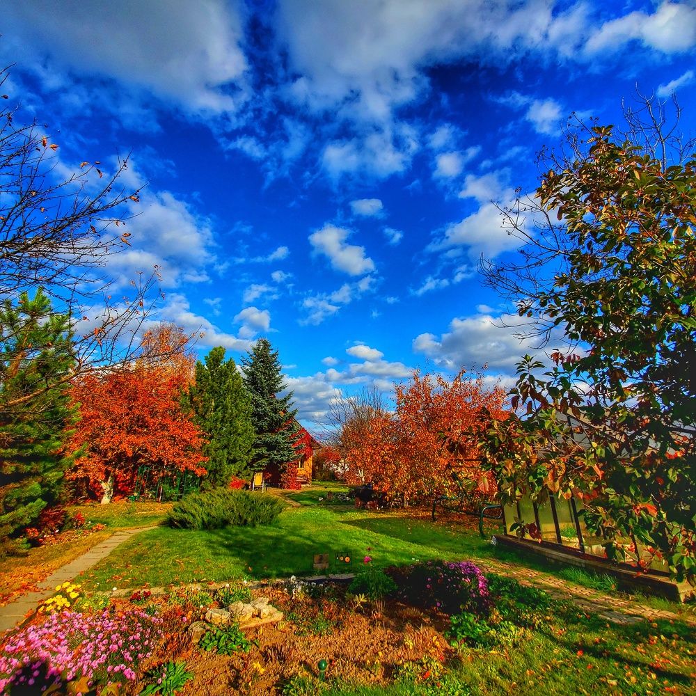 Photograph by Наталья Светлова