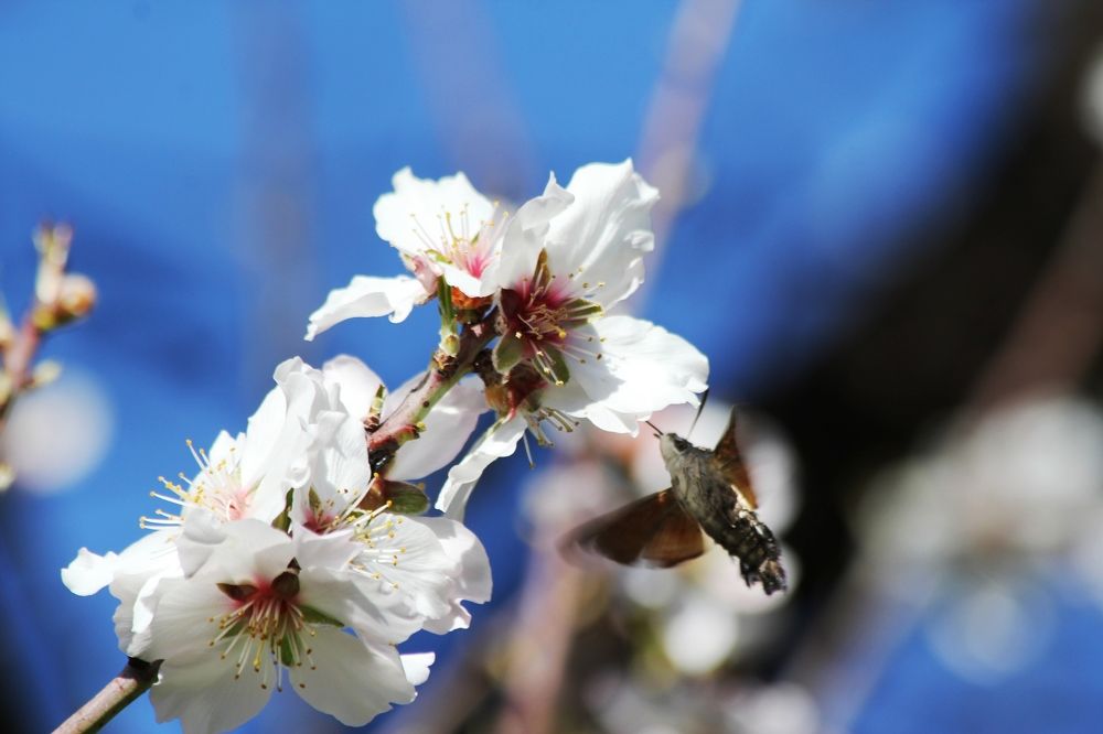 Photograph by Nadzeya