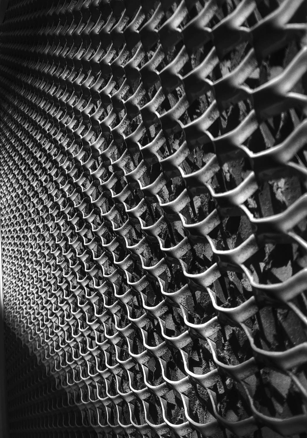 Photo #8306105