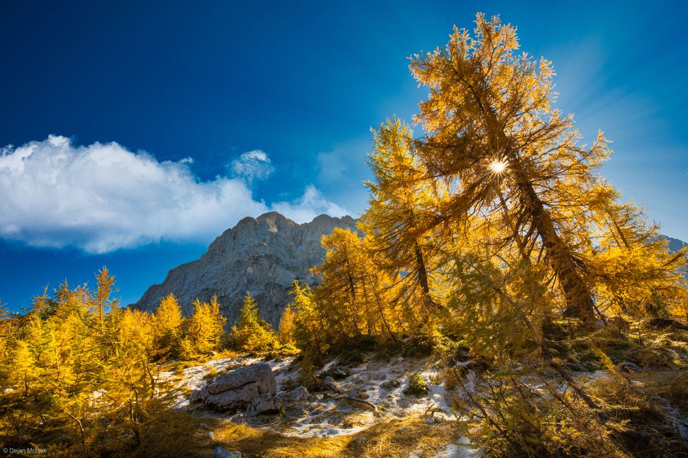 Photograph by Dejan Mržljak