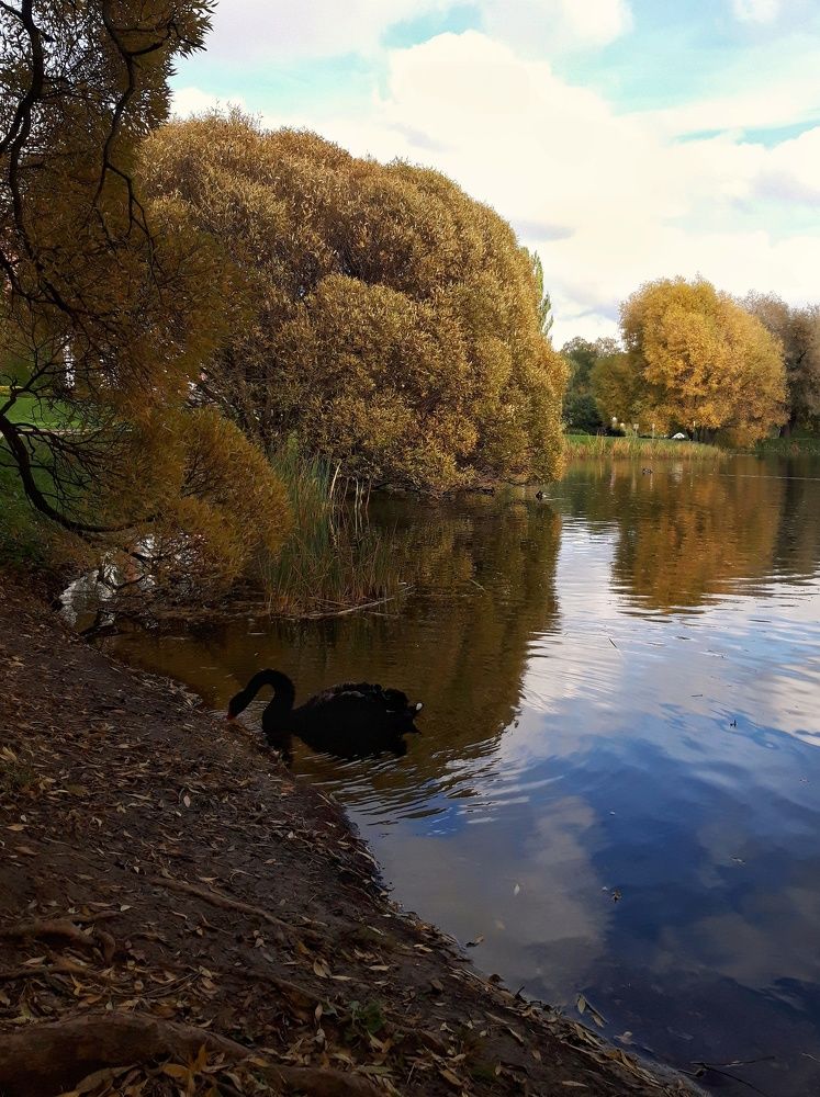 Photograph by Анжелика Медведева