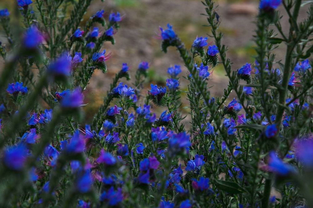 Photograph by Артур Биттиров