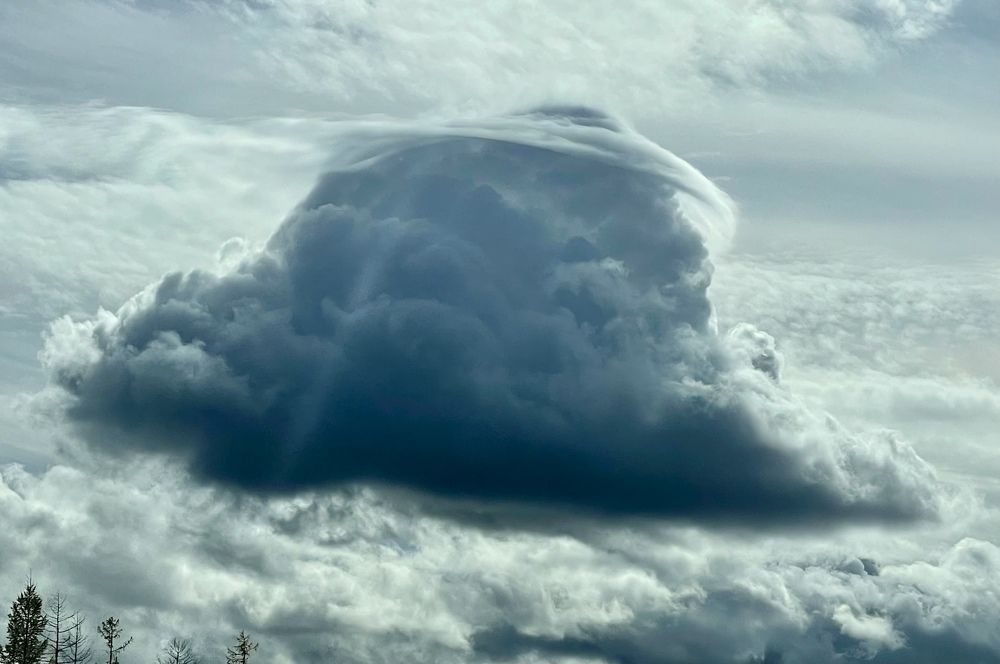 Photograph by Тимур Жилкибаев