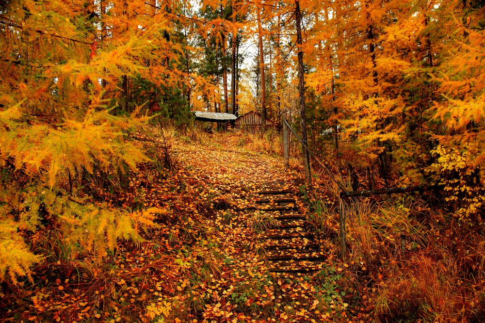 Photograph by федотов Алексей