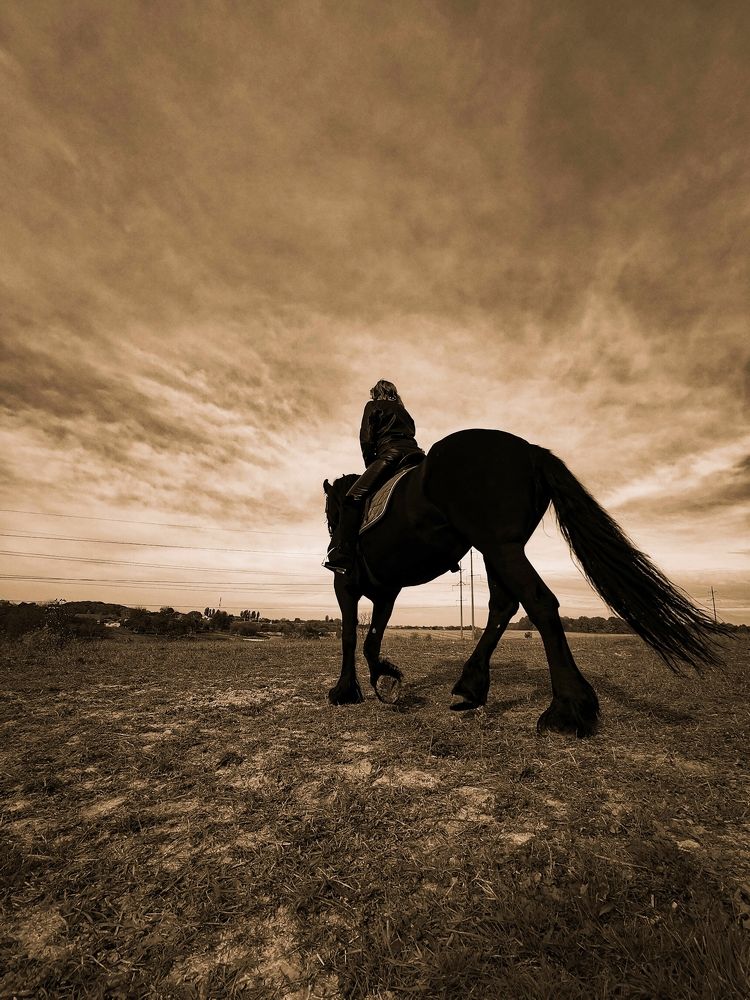 Photograph by Елена Мельник