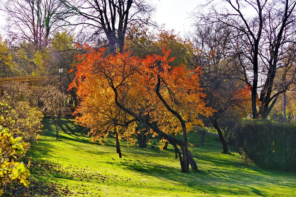 Photograph by АЛЕКСЕЙ