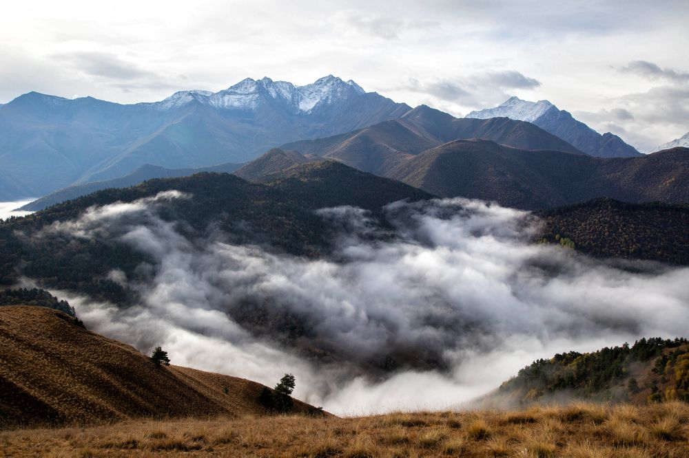 Фотография автора Ирина Гентош