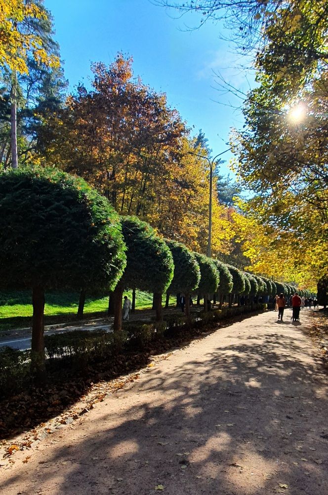 Фотография автора Наталья Смекалина