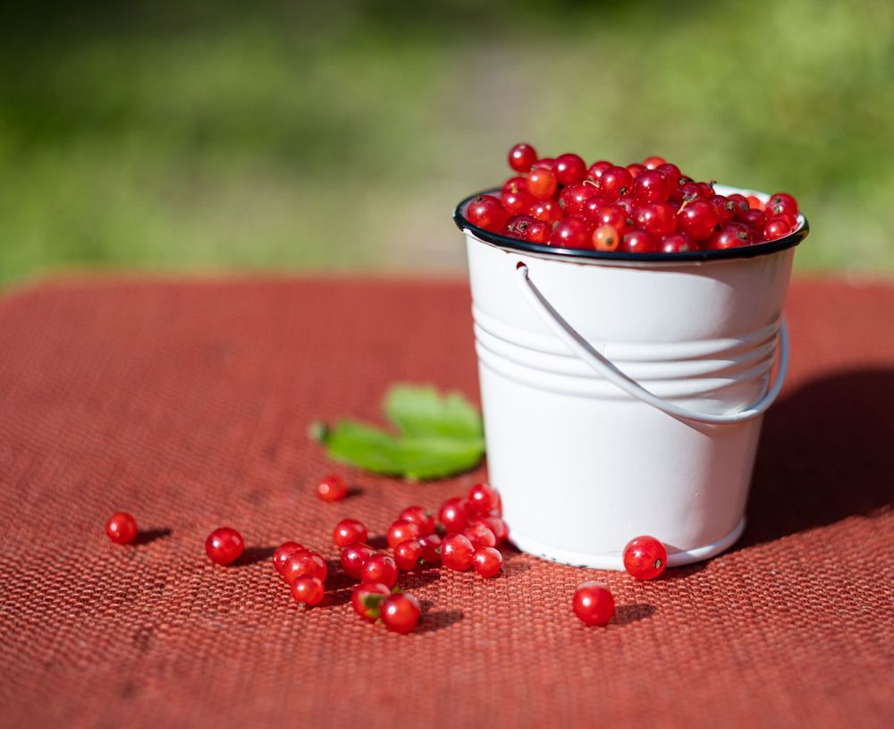 Photograph by Александра Гончаренко Александра Гончаренко